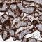 Spartin antibody, NBP1-82982, Novus Biologicals, Immunohistochemistry frozen image 