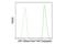 Lymphoid Enhancer Binding Factor 1 antibody, 14022S, Cell Signaling Technology, Flow Cytometry image 