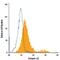 Integrin Subunit Alpha 8 antibody, MA5-23677, Invitrogen Antibodies, Flow Cytometry image 