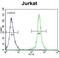 Kruppel Like Factor 14 antibody, LS-C165553, Lifespan Biosciences, Flow Cytometry image 