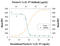 Interleukin 1 Alpha antibody, AF680, R&D Systems, Western Blot image 