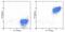 Membrane Metalloendopeptidase antibody, 17-0106-42, Invitrogen Antibodies, Flow Cytometry image 