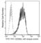 Thy-1 Cell Surface Antigen antibody, 16897-MM10-F, Sino Biological, Flow Cytometry image 