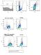 Sialic Acid Binding Ig Like Lectin 15 antibody, NBP2-41162, Novus Biologicals, Flow Cytometry image 