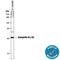 SH3 Domain Containing GRB2 Like, Endophilin B1 antibody, MAB7456, R&D Systems, Western Blot image 