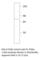 Phosphodiesterase 9A antibody, PD9A-101AP, FabGennix, Western Blot image 