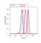 Secreted Phosphoprotein 1 antibody, 702184, Invitrogen Antibodies, Flow Cytometry image 