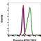 Bruton Tyrosine Kinase antibody, MA5-28076, Invitrogen Antibodies, Flow Cytometry image 