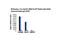 Fos Proto-Oncogene, AP-1 Transcription Factor Subunit antibody, 5348P, Cell Signaling Technology, Chromatin Immunoprecipitation image 