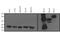 Ras Homolog Family Member A antibody, NBP2-22528, Novus Biologicals, Western Blot image 