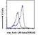 Nuclear Receptor Subfamily 1 Group H Member 2 antibody, NB100-1464, Novus Biologicals, Flow Cytometry image 