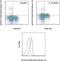 Signal Transducer And Activator Of Transcription 5A antibody, 46-9010-41, Invitrogen Antibodies, Flow Cytometry image 