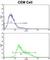 Immunoglobulin Heavy Constant Alpha 1 antibody, abx033409, Abbexa, Western Blot image 