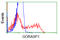 Golgi Reassembly Stacking Protein 1 antibody, LS-C115309, Lifespan Biosciences, Flow Cytometry image 