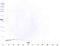 Defensin Beta 1 antibody, 38-111, ProSci, Western Blot image 