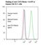 Integrin Alpha V Beta 6 antibody, LS-C134479, Lifespan Biosciences, Flow Cytometry image 