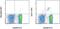Bone Marrow Stromal Cell Antigen 2 antibody, 17-3171-82, Invitrogen Antibodies, Flow Cytometry image 