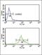 Hydroxysteroid 17-Beta Dehydrogenase 3 antibody, PA5-26524, Invitrogen Antibodies, Flow Cytometry image 