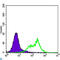 RPTOR Independent Companion Of MTOR Complex 2 antibody, LS-C812760, Lifespan Biosciences, Flow Cytometry image 