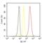 Cyclin Dependent Kinase Inhibitor 1C antibody, MA5-11309, Invitrogen Antibodies, Flow Cytometry image 