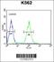 Zinc Finger Protein 169 antibody, 55-227, ProSci, Flow Cytometry image 