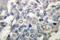 Synaptotagmin 1 antibody, LS-C192168, Lifespan Biosciences, Immunohistochemistry paraffin image 