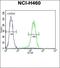 Paxillin antibody, orb221861, Biorbyt, Flow Cytometry image 