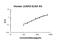 Leukocyte Immunoglobulin Like Receptor A5 antibody, EK2114, Boster Biological Technology, Enzyme Linked Immunosorbent Assay image 