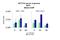 TATA-Box Binding Protein Associated Factor 2 antibody, PA5-40710, Invitrogen Antibodies, Chromatin Immunoprecipitation image 