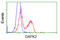 Death Associated Protein Kinase 2 antibody, LS-C115233, Lifespan Biosciences, Flow Cytometry image 