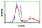 Follicle Stimulating Hormone Subunit Beta antibody, TA501624, Origene, Flow Cytometry image 