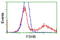 FSHB antibody, TA501624, Origene, Flow Cytometry image 