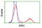 Bridging Integrator 3 antibody, LS-C172433, Lifespan Biosciences, Flow Cytometry image 