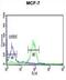 Biorientation Of Chromosomes In Cell Division 1 antibody, abx034596, Abbexa, Flow Cytometry image 