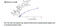 Catestatin antibody, MBS2606379, MyBioSource, Enzyme Linked Immunosorbent Assay image 