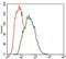 Microtubule Affinity Regulating Kinase 3 antibody, NBP2-37445, Novus Biologicals, Flow Cytometry image 