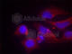 Glutamate Ionotropic Receptor NMDA Type Subunit 2B antibody, AP0357, ABclonal Technology, Immunofluorescence image 