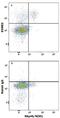 Eomesodermin antibody, MAB8889, R&D Systems, Flow Cytometry image 