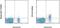 Interleukin 4 Receptor antibody, 14-1249-82, Invitrogen Antibodies, Flow Cytometry image 