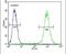 Fibroblast Growth Factor 9 antibody, PA5-23719, Invitrogen Antibodies, Flow Cytometry image 
