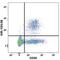 GEM antibody, FAB1848F, R&D Systems, Flow Cytometry image 