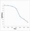 polyprotein CSFV antibody, orb1379, Biorbyt, Enzyme Linked Immunosorbent Assay image 