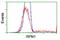 Ribophorin I antibody, NBP2-01294, Novus Biologicals, Flow Cytometry image 