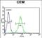 Neurexophilin 4 antibody, PA5-71484, Invitrogen Antibodies, Flow Cytometry image 