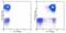 Sialophorin antibody, 11-0439-42, Invitrogen Antibodies, Flow Cytometry image 