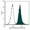 Class I histocompatibility antigen, Non-RT1.A alpha-1 chain antibody, MA5-17411, Invitrogen Antibodies, Flow Cytometry image 