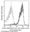 Signal Regulatory Protein Alpha antibody, 50956-R012, Sino Biological, Flow Cytometry image 