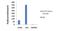 Signal Transducer And Activator Of Transcription 5A antibody, 701108, Invitrogen Antibodies, Chromatin Immunoprecipitation image 