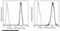 Angiotensinogen antibody, 10994-R001-F, Sino Biological, Flow Cytometry image 