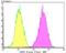 SUN domain-containing protein 2 antibody, NBP2-75696, Novus Biologicals, Flow Cytometry image 